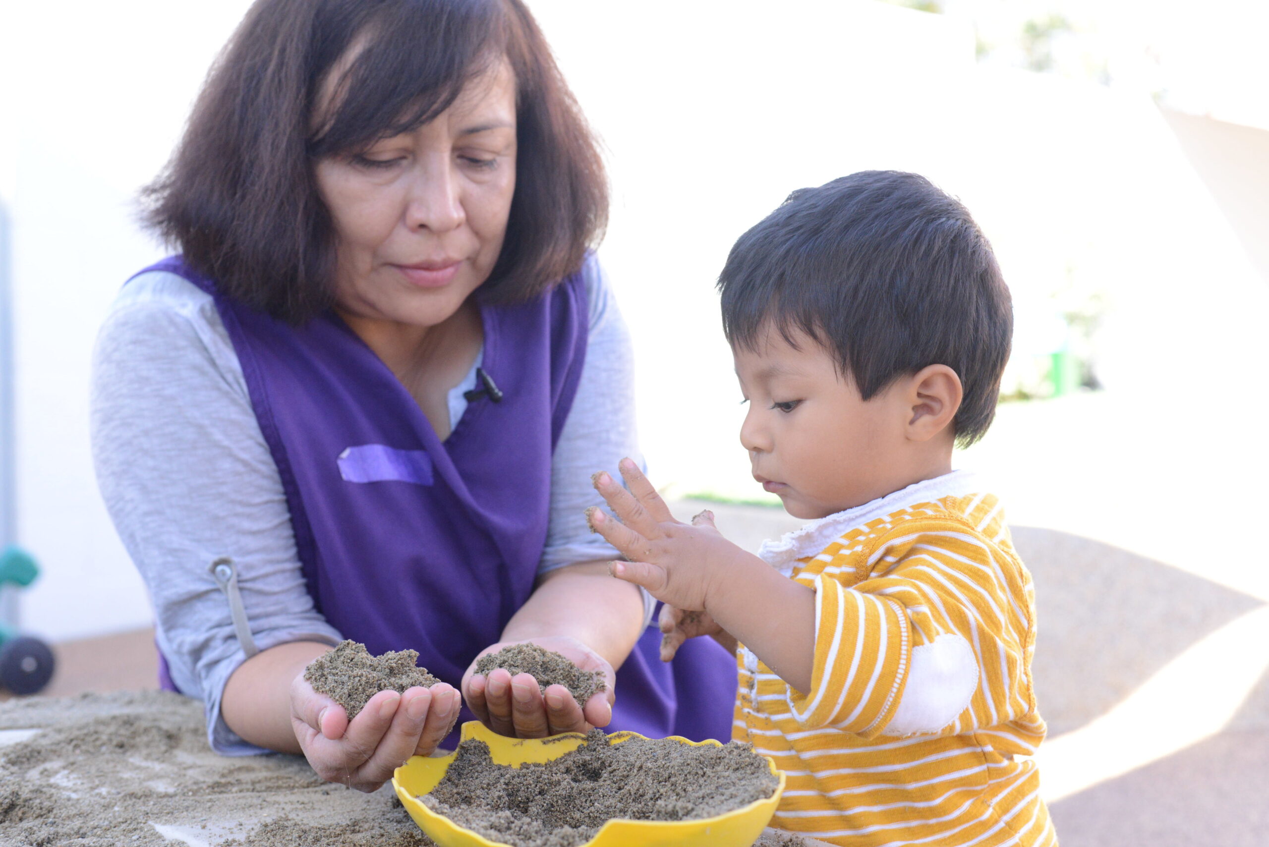 toddler and educator, early childhood education